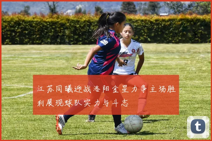 江苏同曦迎战洛阳金星力争主场胜利展现球队实力与斗志