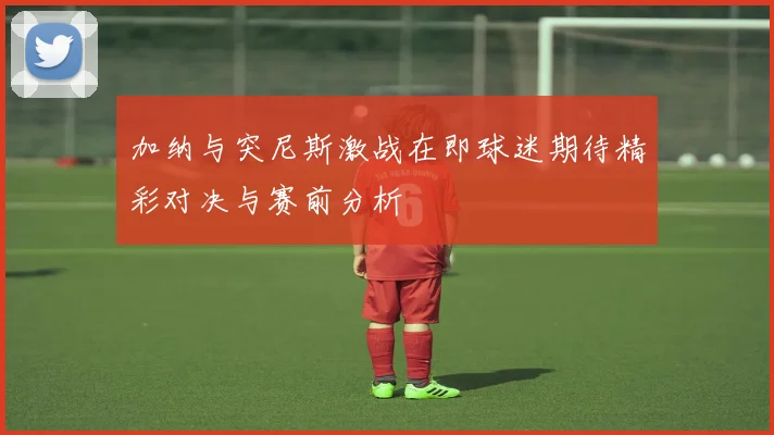 加纳与突尼斯激战在即球迷期待精彩对决与赛前分析
