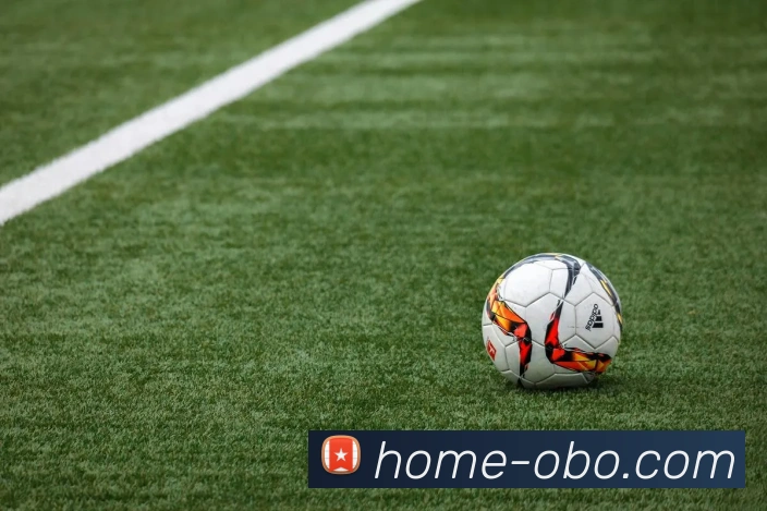 欧博娱乐平台生态图